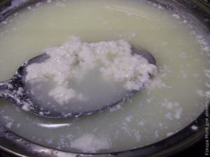 адыгейский сыр
