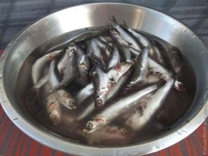 соленая тюлька