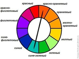 сочетание цветов