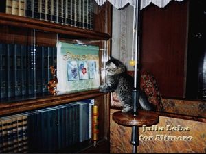 Дом, милый дом. Отзыв на книгу