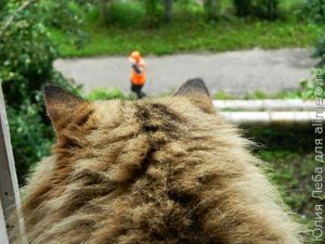 Моя Фанечка