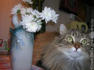 Моя Фанечка