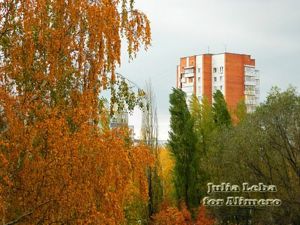 Осень Осень