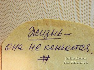 Жизнь Жизнь