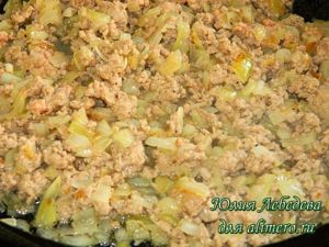Фарш с луком Фарш с луком
