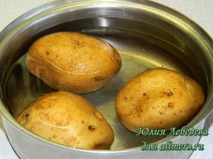 Картофель Картофель