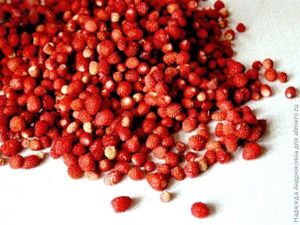 «Сырое» варенье из земляники