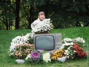 телевизор