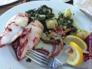 кальмар кальмар