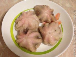 осьминоги