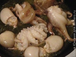 осьминоги