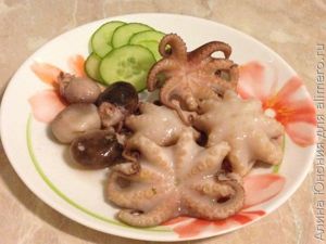 осьминоги