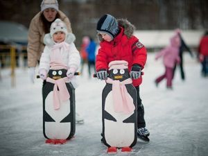 Покататься на коньках. Очень люблю это дело. Рядом с нами целых 3 залитых площадки, можно покататься даже бесплатно. Покататься на коньках. Очень люблю это дело. Рядом с нами целых 3 залитых площадки, можно покататься даже бесплатно.