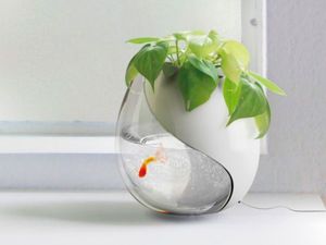 Необычные мини-сады