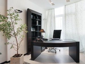 Кабинет в квартире, идеи.