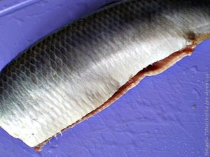 Закуски, бутерброды