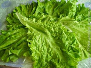 закуски