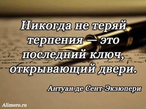 Цитаты Экзюпери