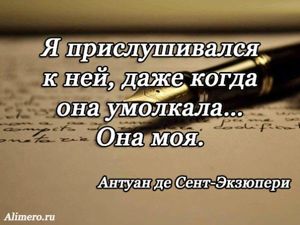 Цитаты Экзюпери