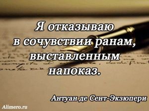 Цитаты Экзюпери