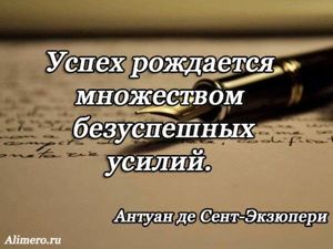 Цитаты Экзюпери