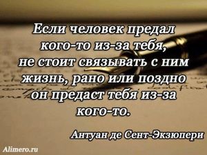 Цитаты Экзюпери