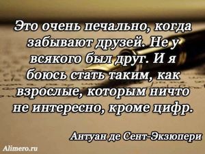 Цитаты Экзюпери