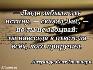 Цитаты Экзюпери
