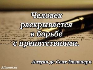 Цитаты Экзюпери