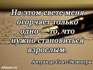 Цитаты Экзюпери
