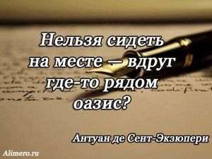 Цитаты Экзюпери