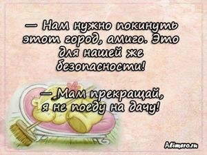 Забавные высказывания о домашних делах