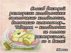 Забавные высказывания о домашних делах