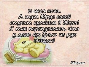 Забавные высказывания о домашних делах