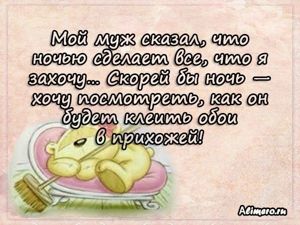Забавные высказывания о домашних делах