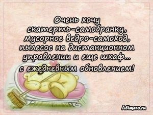 Забавные высказывания о домашних делах