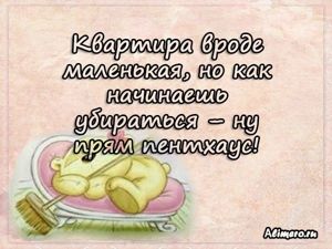 Забавные высказывания о домашних делах
