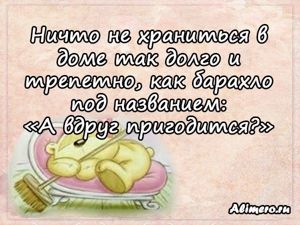 Забавные высказывания о домашних делах