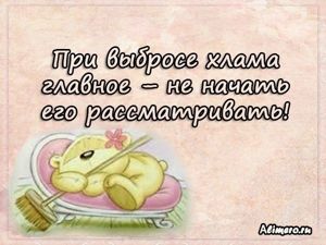 Забавные высказывания о домашних делах