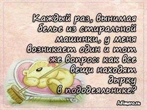 Забавные высказывания о домашних делах