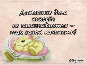 Забавные высказывания о домашних делах