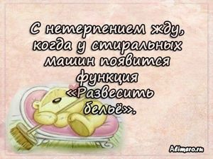 Забавные высказывания о домашних делах