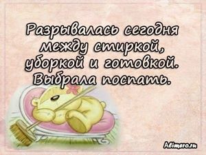 Забавные высказывания о домашних делах