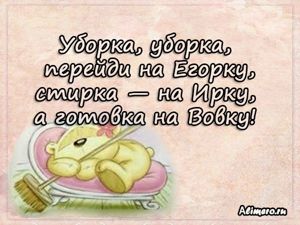 Забавные высказывания о домашних делах