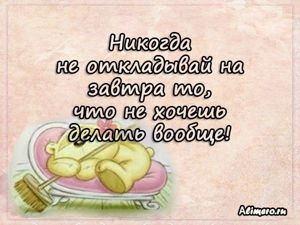 Забавные высказывания о домашних делах