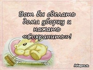 Забавные высказывания о домашних делах