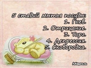 Забавные высказывания о домашних делах