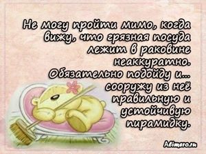 Забавные высказывания о домашних делах