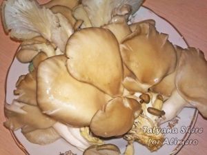 Салат с корейской морковью и грибами