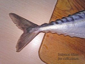 Скумбрия в домашних условиях